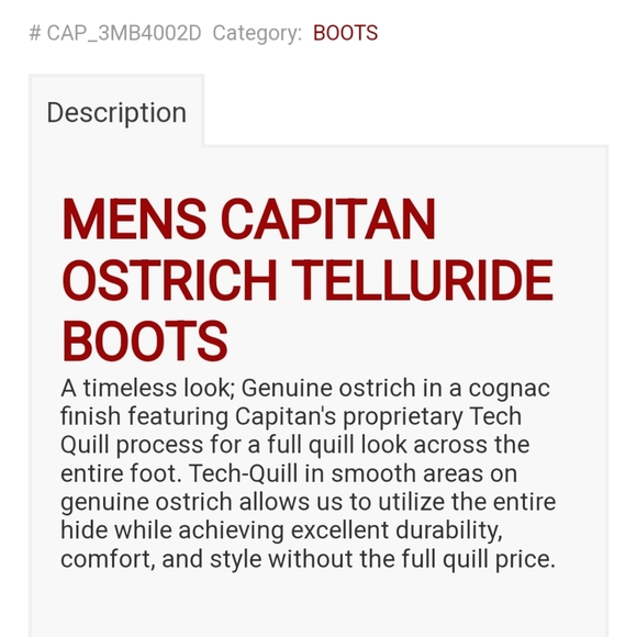 SOLD!! Capitan Men's TELLURIDE Cognac Ostrich Square Toe Cowboy Boots. 10EE NIB! - Picture 2 of 12